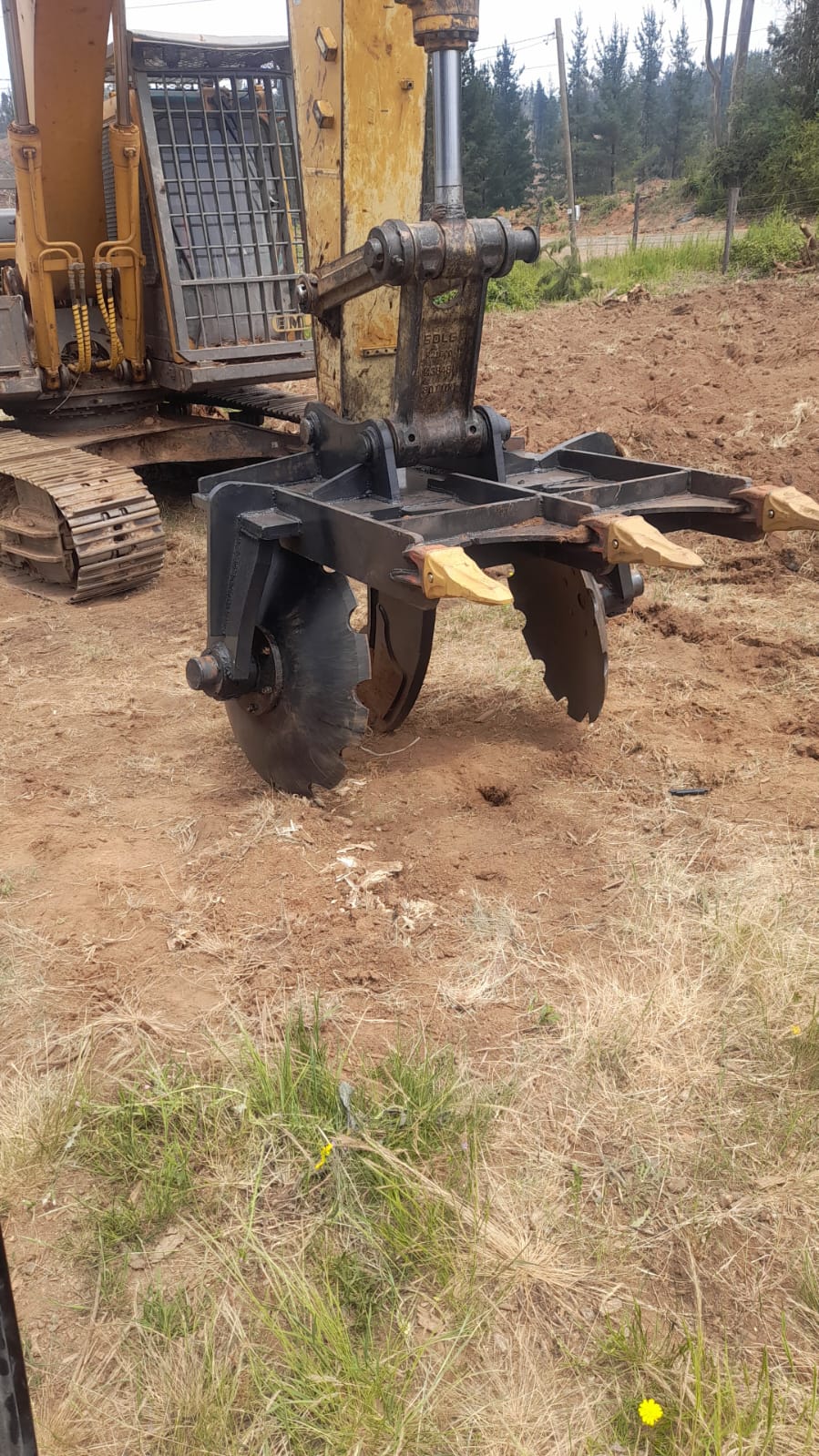 Rastra forestal